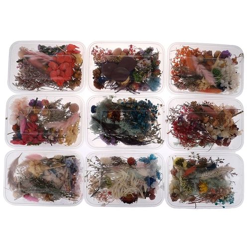 Boîte De Vraies Fleurs Séchées, 1 Boîte, Pour Aromathérapie, Collier Et Pendentif En Résine Époxy, Pour Bougie Sèche, Bijoux Fabrication Artisanat Accessoires Diy
