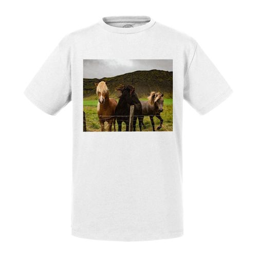 T-Shirt Enfant Chevaux Gambadent Dans Les Pres Nature Champs