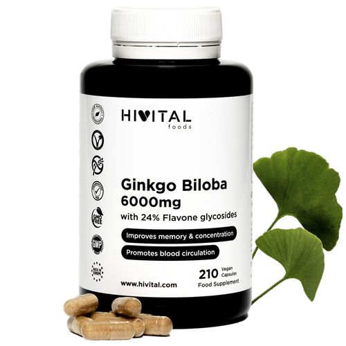 Ginkgo Biloba 6000 Mg | 210 Gélules Vegan Pour 7 Mois. 100% Naturel Avec 24% De Flavonoïdes Et 6% De Terpènes. Puissant Antioxydant Qui Améliore La Mémoire, La Concentration Et La Circulation Sangui 