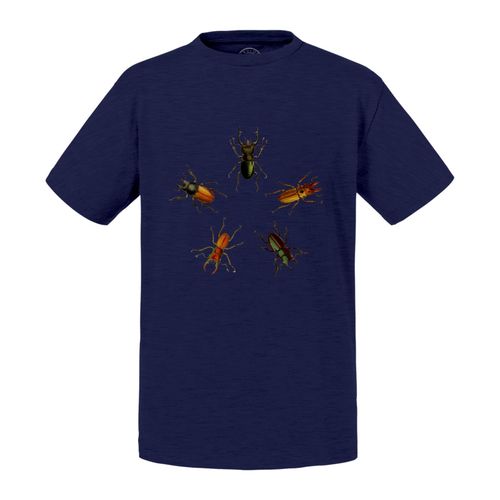 T-Shirt Enfant Scarabées Pentagone Insectes Biologie Illustration Ancienne