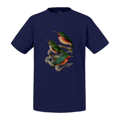 T-Shirt Enfant Todier Oiseaux Planches Biologie Faune Illustration Ancienne