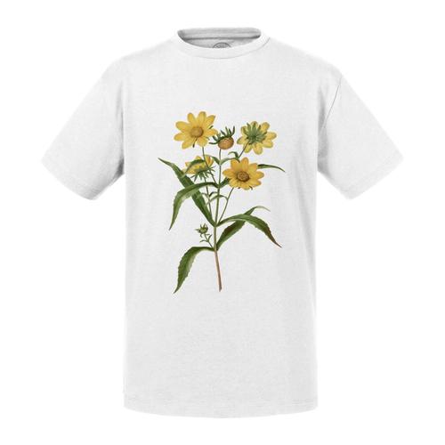 T-Shirt Enfant Bouquet Marguerite Jaune Biologie Illustration Ancienne