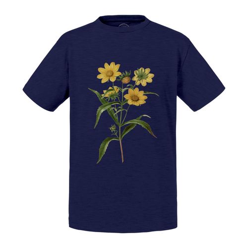 T-Shirt Enfant Bouquet Marguerite Jaune Biologie Illustration Ancienne