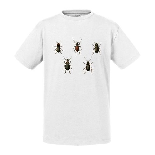 T-Shirt Enfant Insectes Minimaliste Biologie Illustration Ancienne
