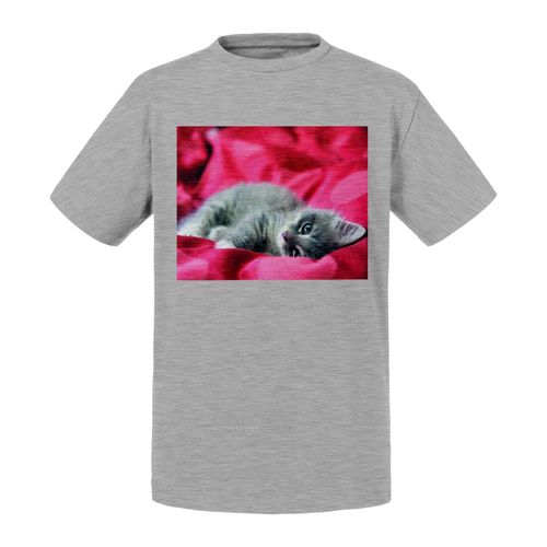 T-Shirt Enfant Chaton Gris Mignon Drap Rouge