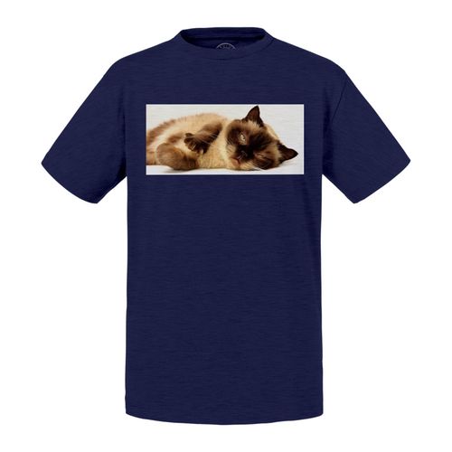 T-Shirt Enfant Chaton Siamois Poil Long Endormis Mignon Relax Chill Chat