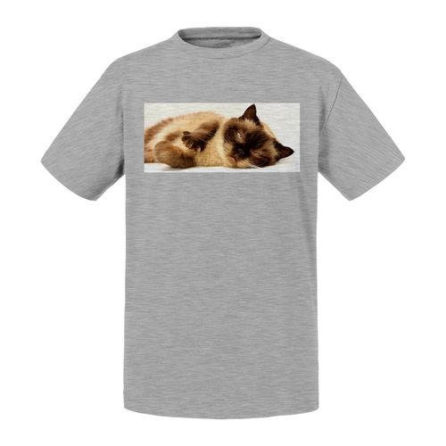 T-Shirt Enfant Chaton Siamois Poil Long Endormis Mignon Relax Chill Chat