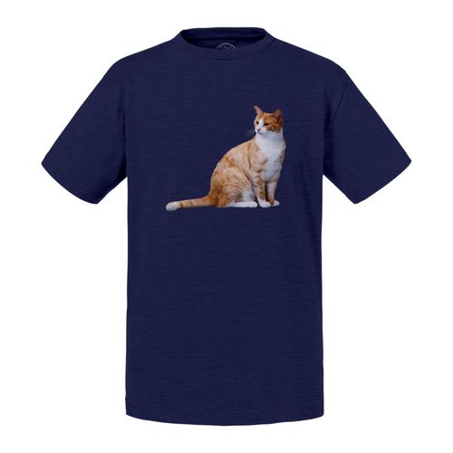 T-Shirt Enfant Gros Chat Roux Poil Long Mignon Chat De Maison