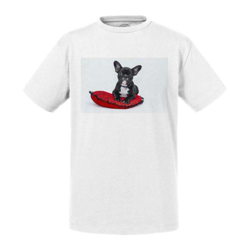 T-Shirt Enfant Bouledogue Français Noir Et Blanc Petit Chien Sur Coussin Rouge Et Noir Mignon Animaux