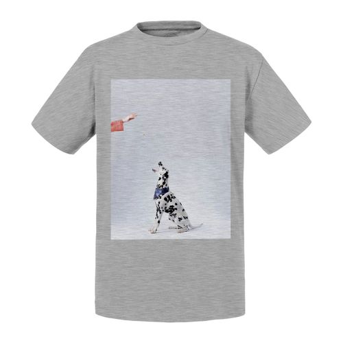 T-Shirt Enfant Chien Dalmatien Avec Bandana Bleu À Motifs Reçoit Une Friandise Animaux