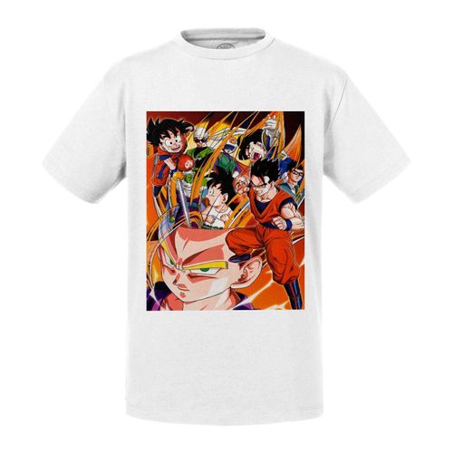 T-Shirt Enfant Dragon Ball Z Sangohan Classique Manga Anime