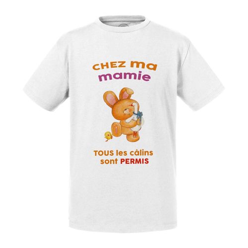 T-Shirt Enfant Chez Ma Mamie Tous Les Calins Sont Permis Grand Mere Enfants