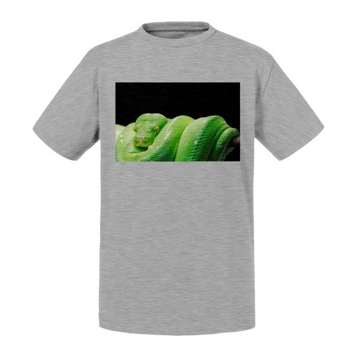 T-Shirt Enfant Python Vert Serpent Photo Nature Sauvage Reptile