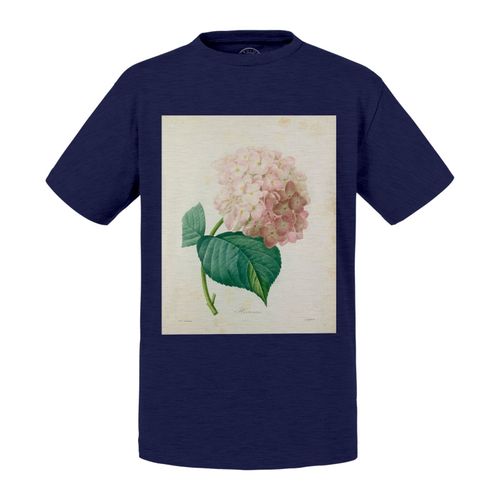 T-Shirt Enfant Hortensia Planche Illustration Botanique Ancienne Fleurs