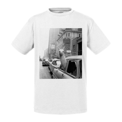 T-Shirt Enfant Lama A Time Square Swag New York Annees 30 Photo Vintage