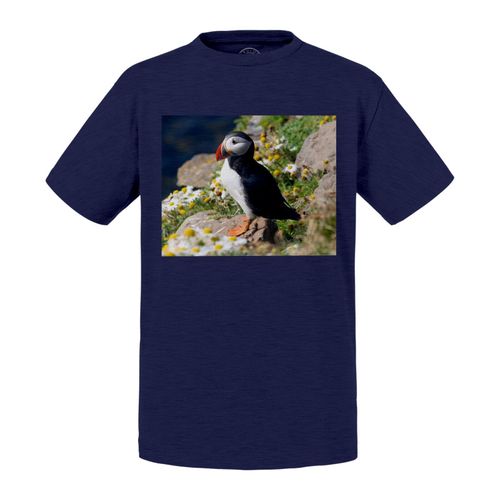 T-Shirt Enfant Macareux Fraterculini Oiseau Marin Rare Animal Sauvage