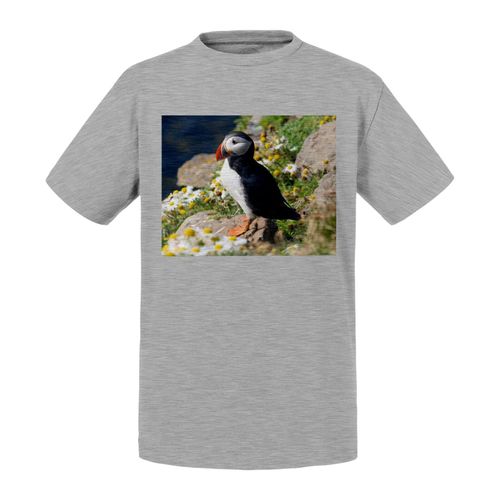 T-Shirt Enfant Macareux Fraterculini Oiseau Marin Rare Animal Sauvage