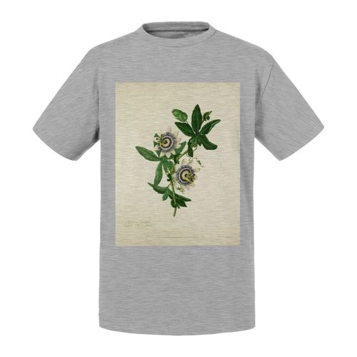 T-Shirt Enfant Passiflora Caerulea Planche Illustration Botanique Ancienne Fleur Exotique