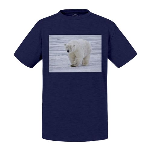 T-Shirt Enfant Ours Polaire Sur La Banquise Ours Blanc Animal Sauvage
