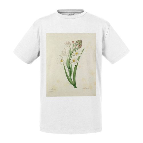 T-Shirt Enfant Tubereuse Planche Illustration Botanique Ancienne Fleurs