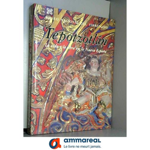 Tepotzotla?N: La Vida Y La Obra En La Nueva Espan?A (Spanish Edition)