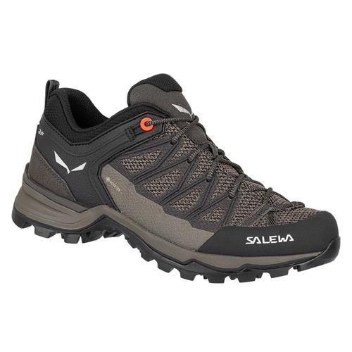 Baskets Basses Salewa Mtn Trainer Lite Gtx