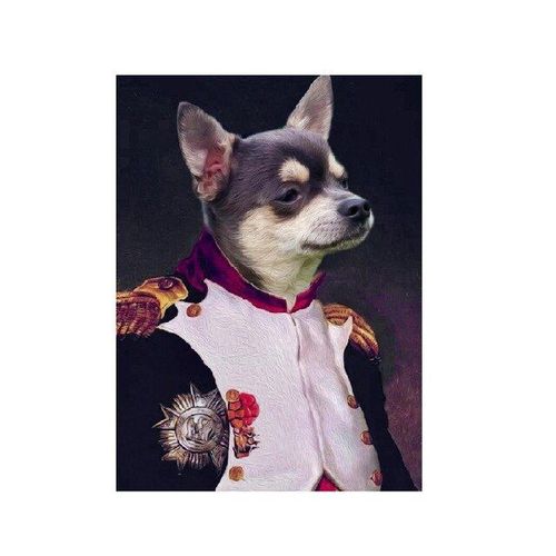 Peinture Sur Toile Créative Avec Chat Et Chien Dans Vêtements, Affiche Murale Imprimée, Décoration De Salle D'art Murale, Boîte D'art Surprise Sans Cadre?40x40cm