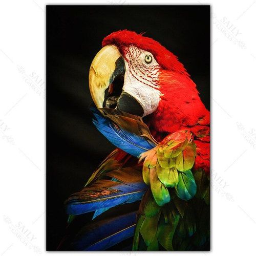Peinture Sur Toile De Cacatoès Blanc, Animal Australien, Perroquet Rouge, Affiche, Art Mural Moderne, Image D'oiseau, Décor De Salon Sans Cadre?40x40cm