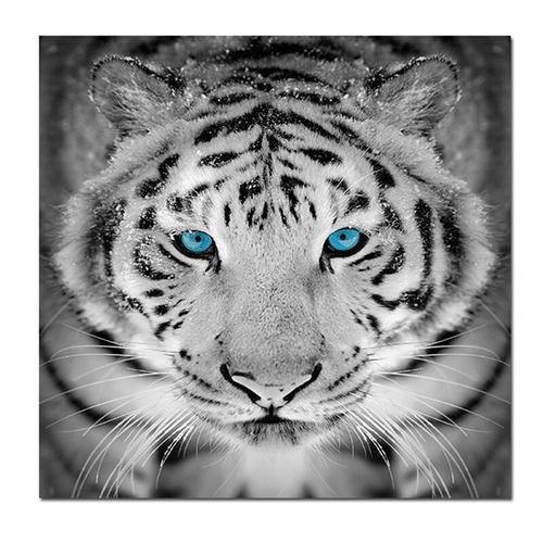 Toile De Tigre Noir Et Blanc Avec Yeux Bleus, Affiches D'animaux Sauvages Imprimées, Photos Murales D'art Pour Décor De Salon, Cuadros Sans Cadre?40x40cm