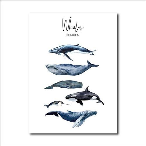 Peinture Sur Toile Moderne Avec Baleine Aquarelle, Affiche D'art Marin, Image Murale Pour Décoration De Maison Sans Cadre?40x40cm