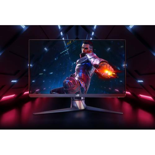 Asus ROG Swift 360Hz PG259QN - 24.5"