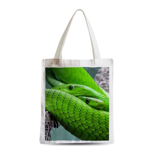 Grand Sac Shopping Plage Etudiant Couple Python Vert Superbe Reptiles Animaux Sauvages Nature
