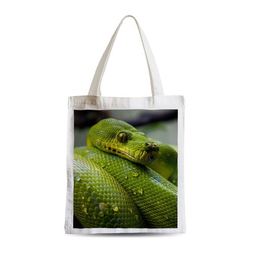 Grand Sac Shopping Plage Etudiant Python Vert Sublime Serpent Photo Nature Sauvage Reptile