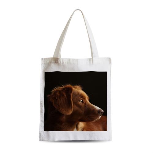 Grand Sac Shopping Plage Etudiant Portrait Chien de Chasse Marron Magnifique Yeux Jaunes Mignon