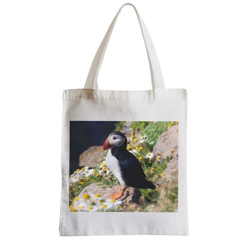 Grand Sac Shopping Plage Etudiant macareux fraterculini oiseaux marins