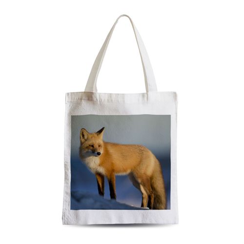 Grand Sac Shopping Plage Etudiant Beau Renard Neige Vie Sauvage Photo Nature