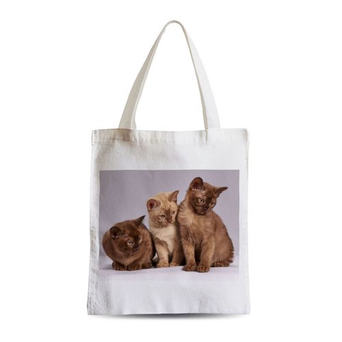Grand Sac Shopping Plage Etudiant Bebe Chats Siamois Persan Poils Longs Chat Trio Mignon