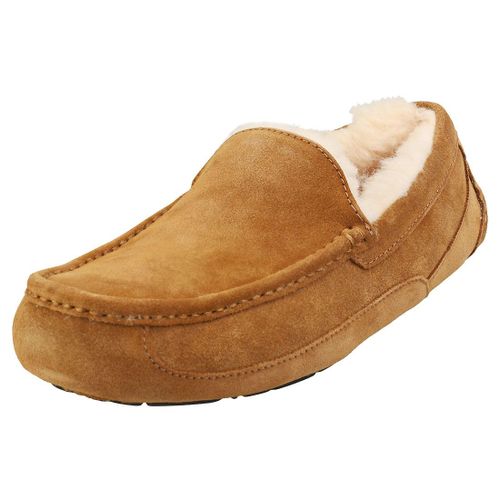 Ugg Ascot Homme Chaussures Pantoufle Châtaigne