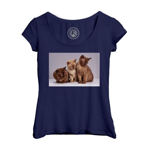 T-Shirt Femme Col Echancré Bebe Chats Siamois Persan Poils Longs Chat Trio Mignon