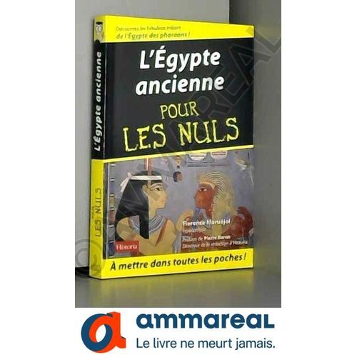 L'egypte Ancienne Pour Les Nuls