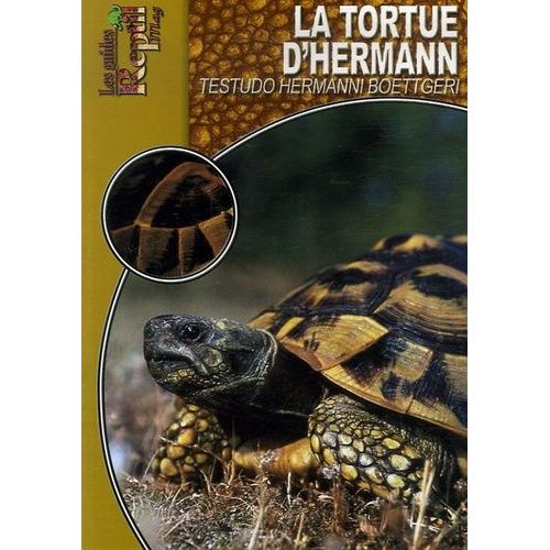 La Tortue D'hermann Orientale - Testudo Hermanni Boettgeri