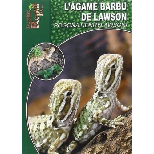 L'agame Barbu De Lawson - Pogona Henrylawsoni