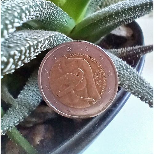 Pièce De 2€ Du 25e Anniversaire Ruban Rose