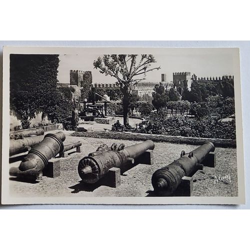Carte Postale Ancienne, Maroc, Rabat, Jardin Des Oudaias