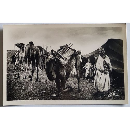 Carte Postale Ancienne, Maroc, Scène Et Type Arabe, L'arrivée Au Douar