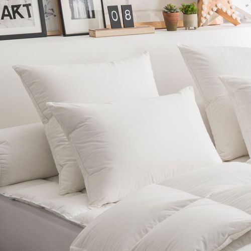 Dodo | Oreiller 50% Duvet Eco-Responsable Ferme - 50 X 70 Cm