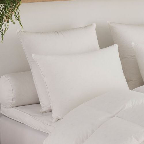 Dodo | Oreiller Micro Green Toucher Duvet Moelleux - 60 X 60 Cm