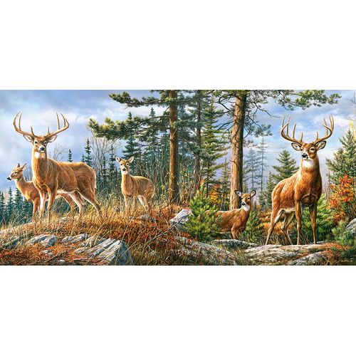 Royal Deer Family - Puzzle 4000 Pièces
