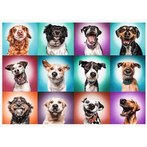 Funny Dog Portraits - Puzzle 2000 Pièces