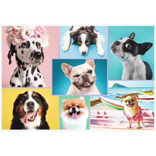 Chiens Mignons - Puzzle 1500 Pièces